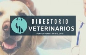 clínicas veterinarias